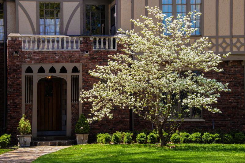 Dogwood Tree Planting in Ventura County, CA