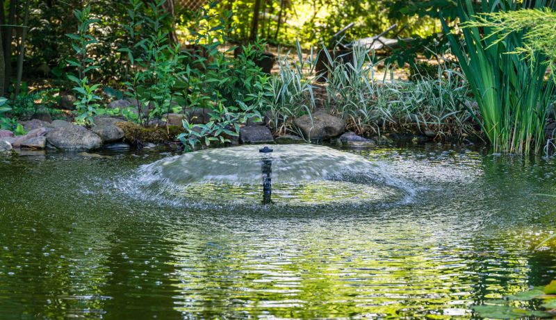 Contact About Pond Fountain Repair