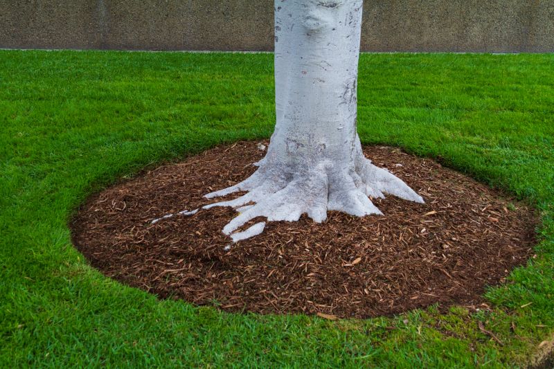 Brown Mulch Installation in Ventura County, CA