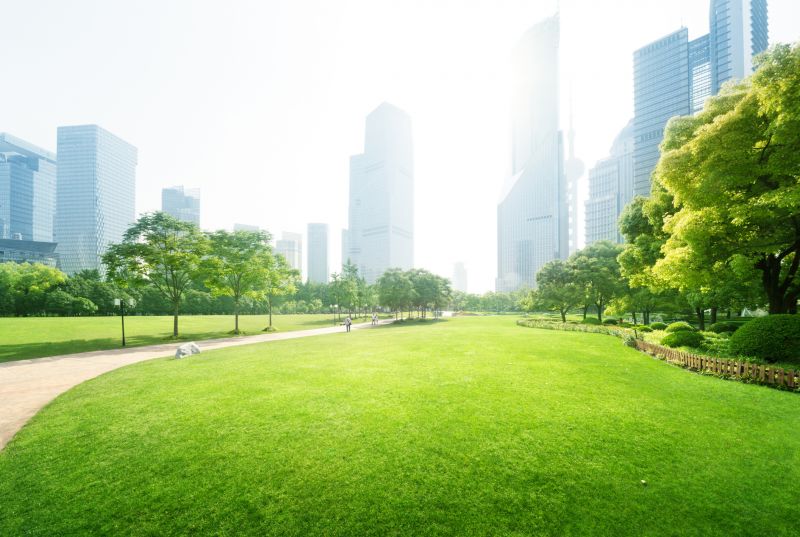 Commercial Landscaping in Honolulu, HI