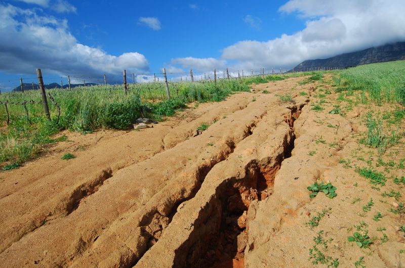 Lawn Erosion Control in Honolulu, HI
