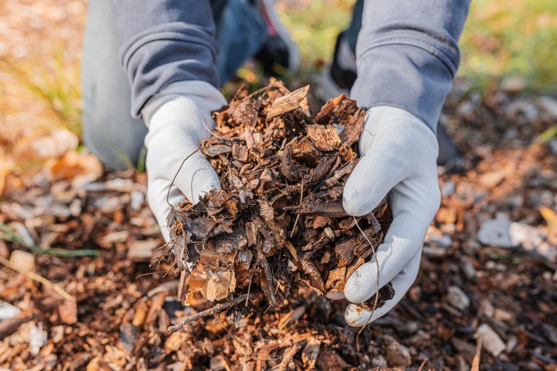 Red Mulch Installation in Honolulu, HI