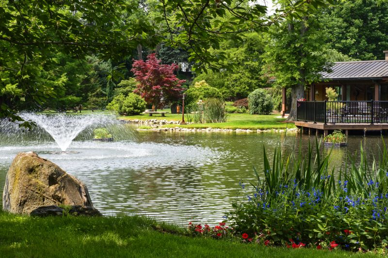 Improves pond aesthetics