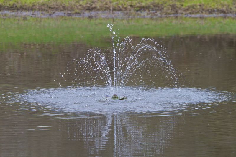 Restores water circulation